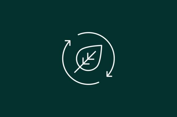 Logo Ecovadis